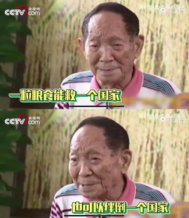 致敬“杂交水稻之父”袁隆平：除了珍惜粮食，我们还能做到这五点