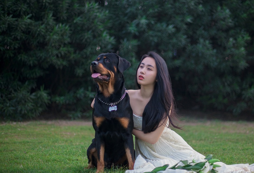 这些狗是忠诚的代表，一旦养了，这辈子眼里都是你
