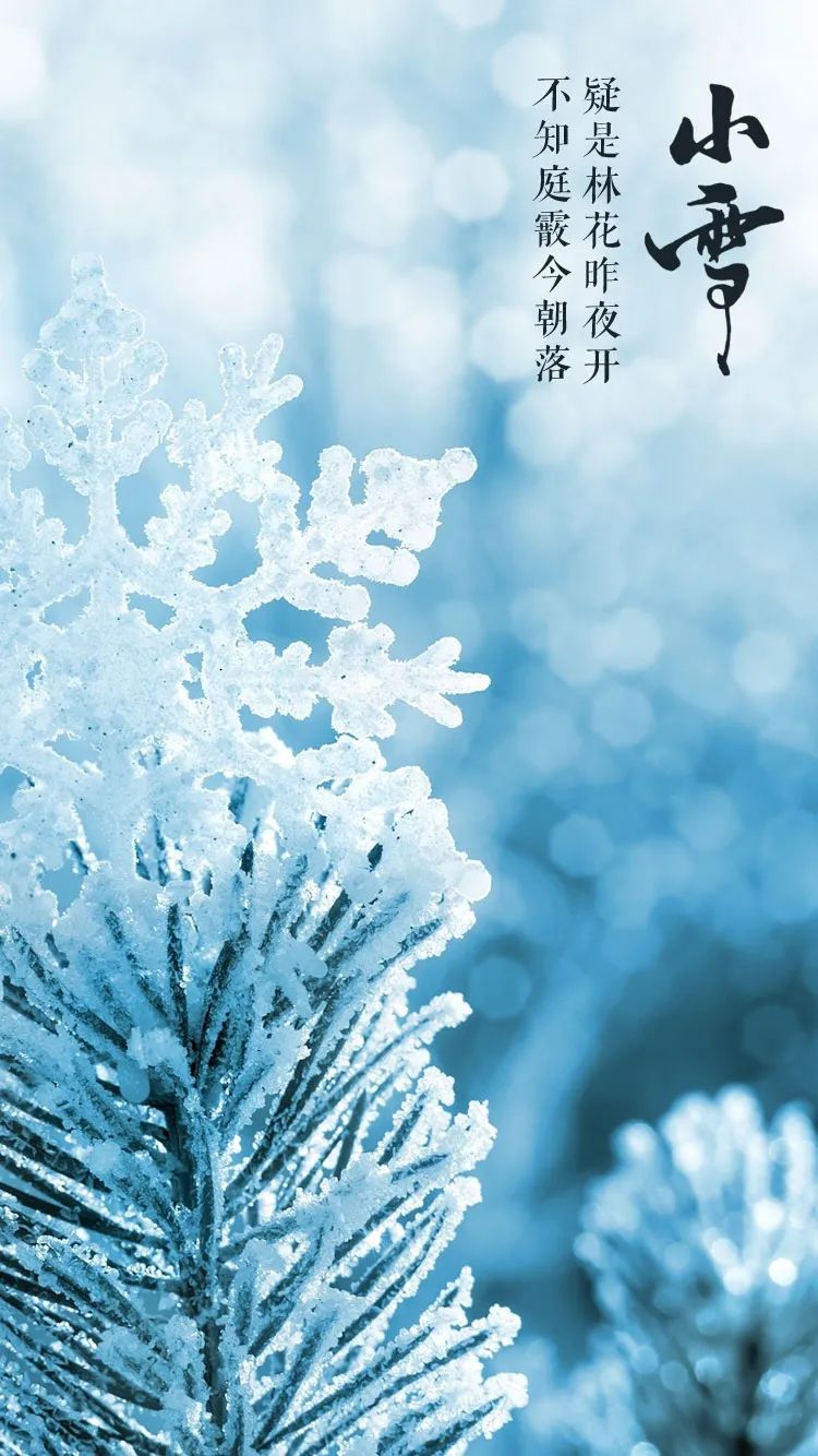 「美文美图」小雪，在最美的诗词里，遇见最美的小雪