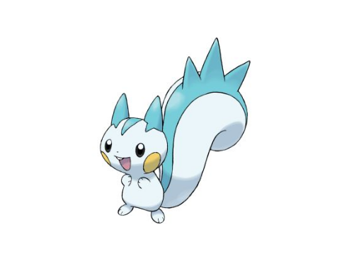 精灵宝可梦帕奇利兹图鉴帕奇利兹属性详解