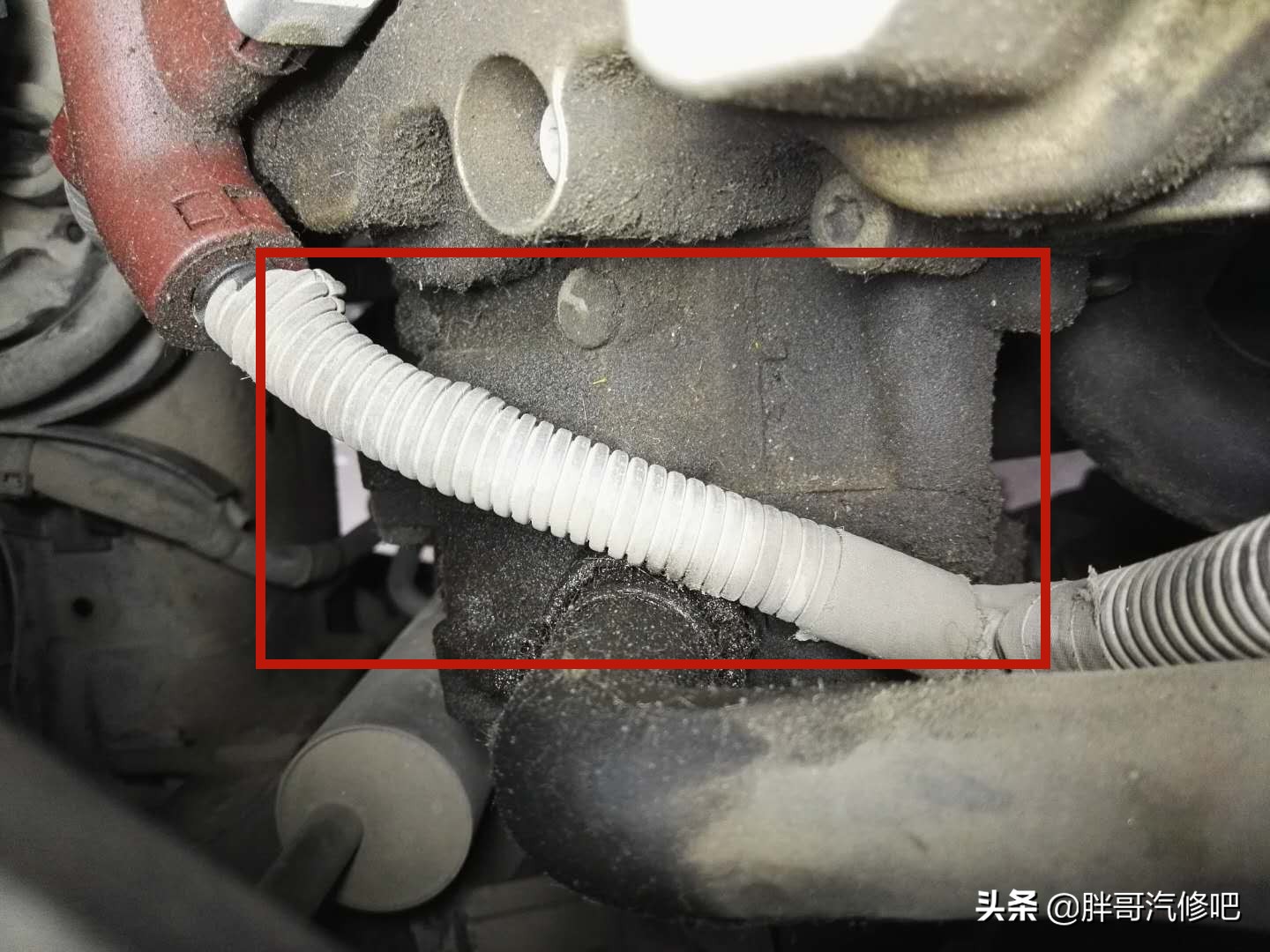 12年车龄23万公里奥迪A6L，2.4V6发动机全方位漏油维修