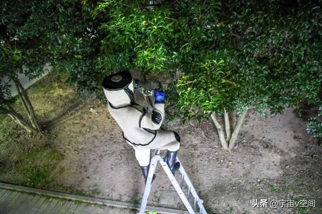 如果在野外突然碰到了马蜂窝，该怎么办？