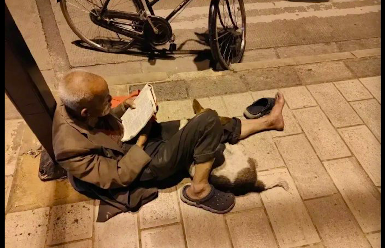老人在路灯下面看书，腿边还依偎着一只狗狗，一人一狗，却享余生