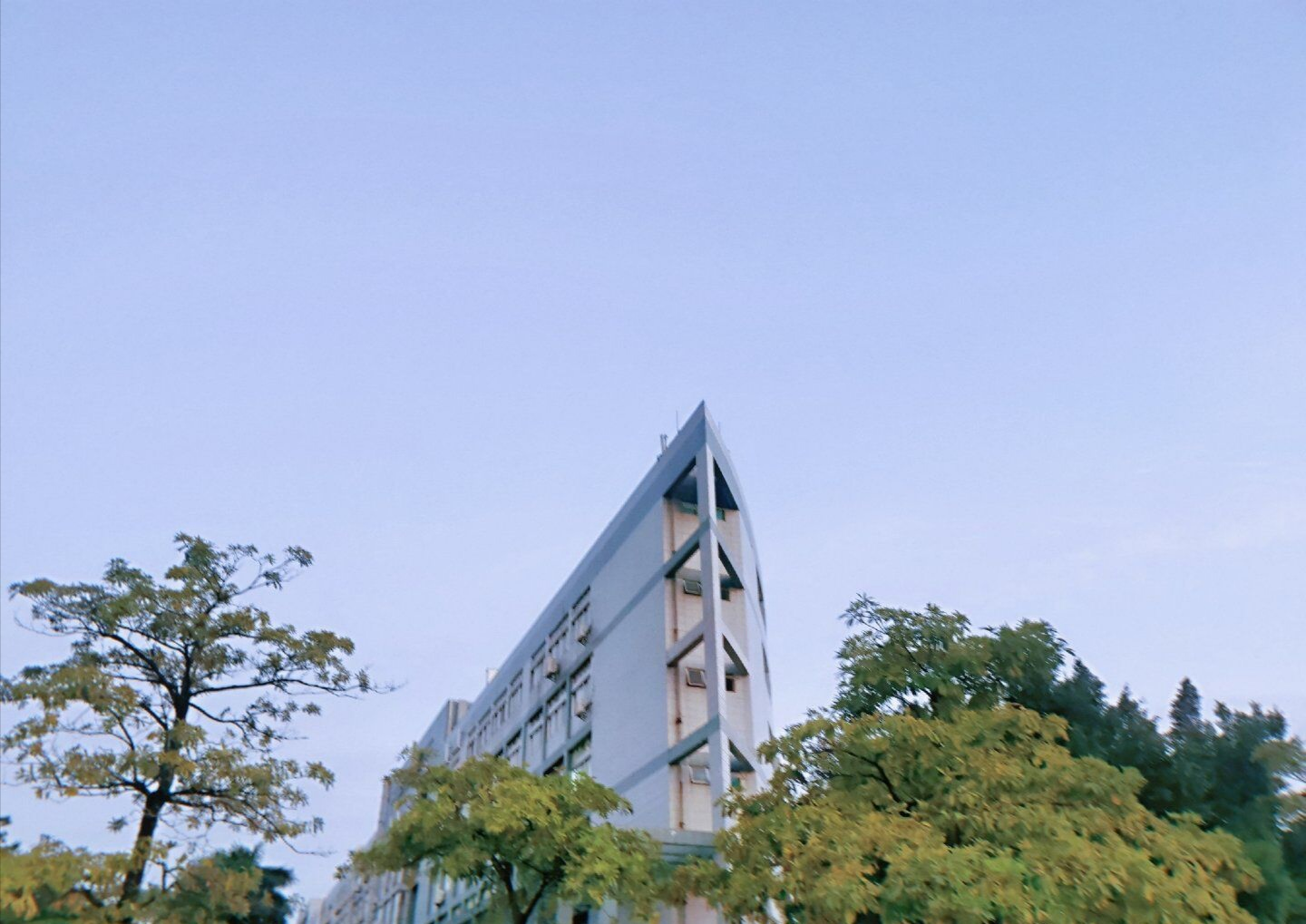 人眼前一亮元气满满小日子过得挺滋润闽南师范大学位于漳州市政府旁边