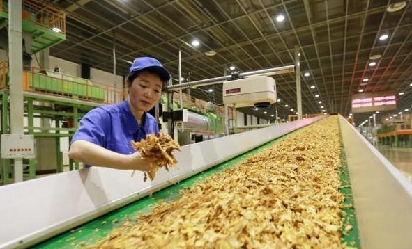 中国烟草迎来扩招，偏爱这3大专业，毕业后年薪可达6位数