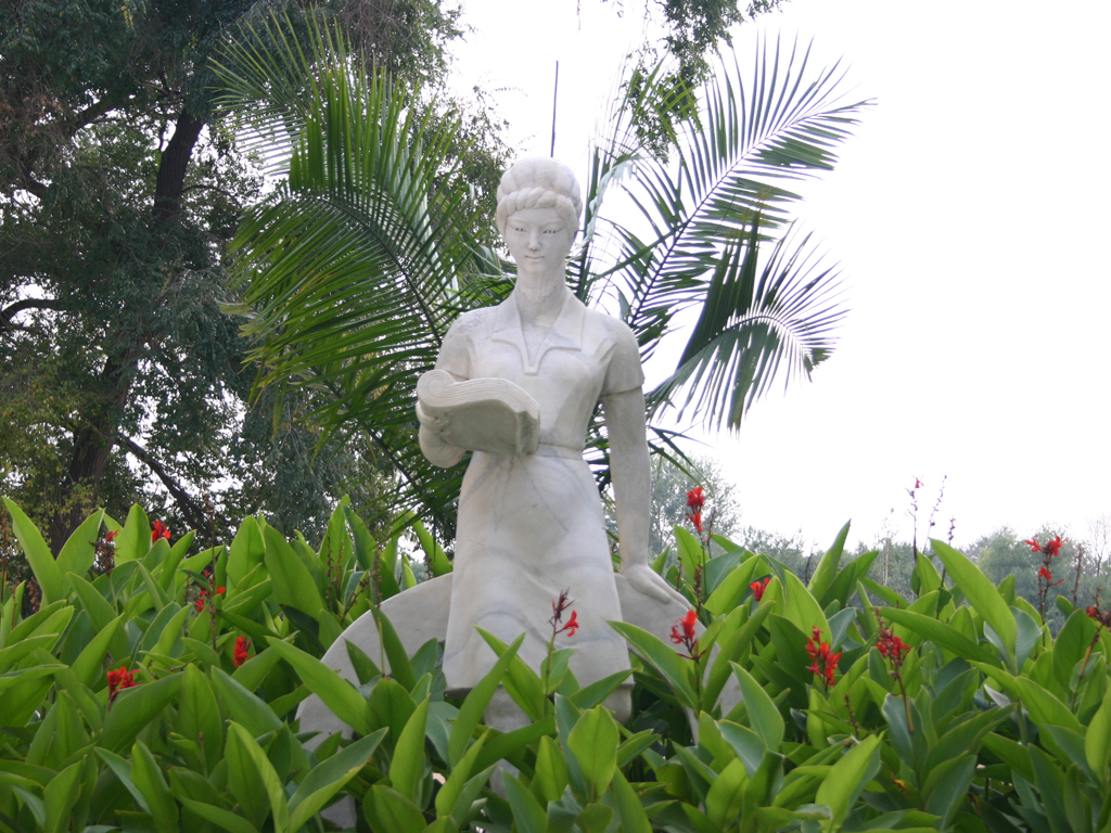 学参天地，德合自然：东北林业大学2021年艺考政策解读