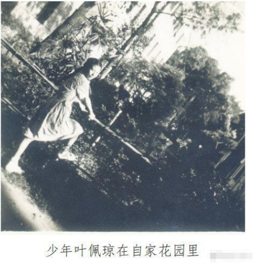 李隼孙颖莎张怡宁(第一代女乒之子，成就王楠张怡宁，李隼为何不顾反对培养孙颖莎？)