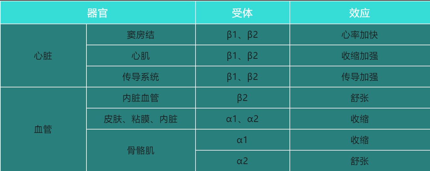 寻找最好的高血压药（一）β受体阻滞剂篇