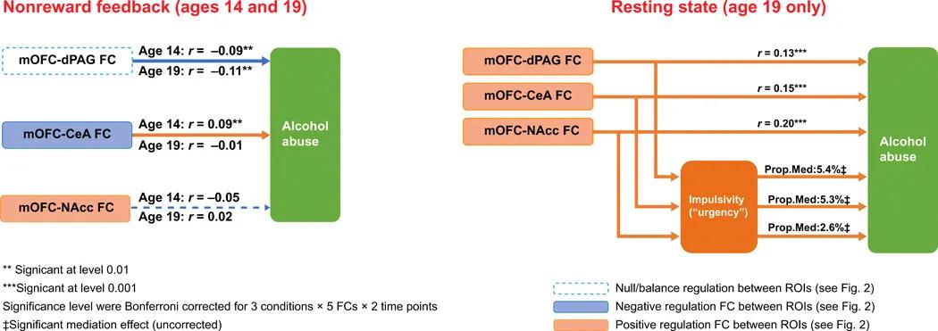 复旦研究员揭示酗酒行为背后的神经机制，或早日实现“对症治疗”