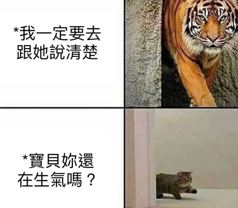 如何接吻？首先要找个舒服的地方，然后把门关好，再把灯关掉