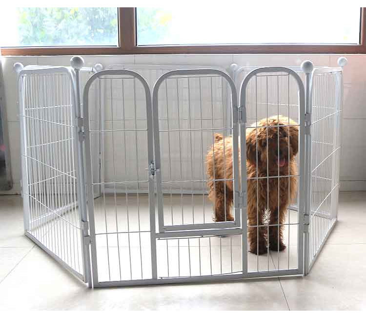 双11攻略:养狗知道这9家宝藏店铺就够了