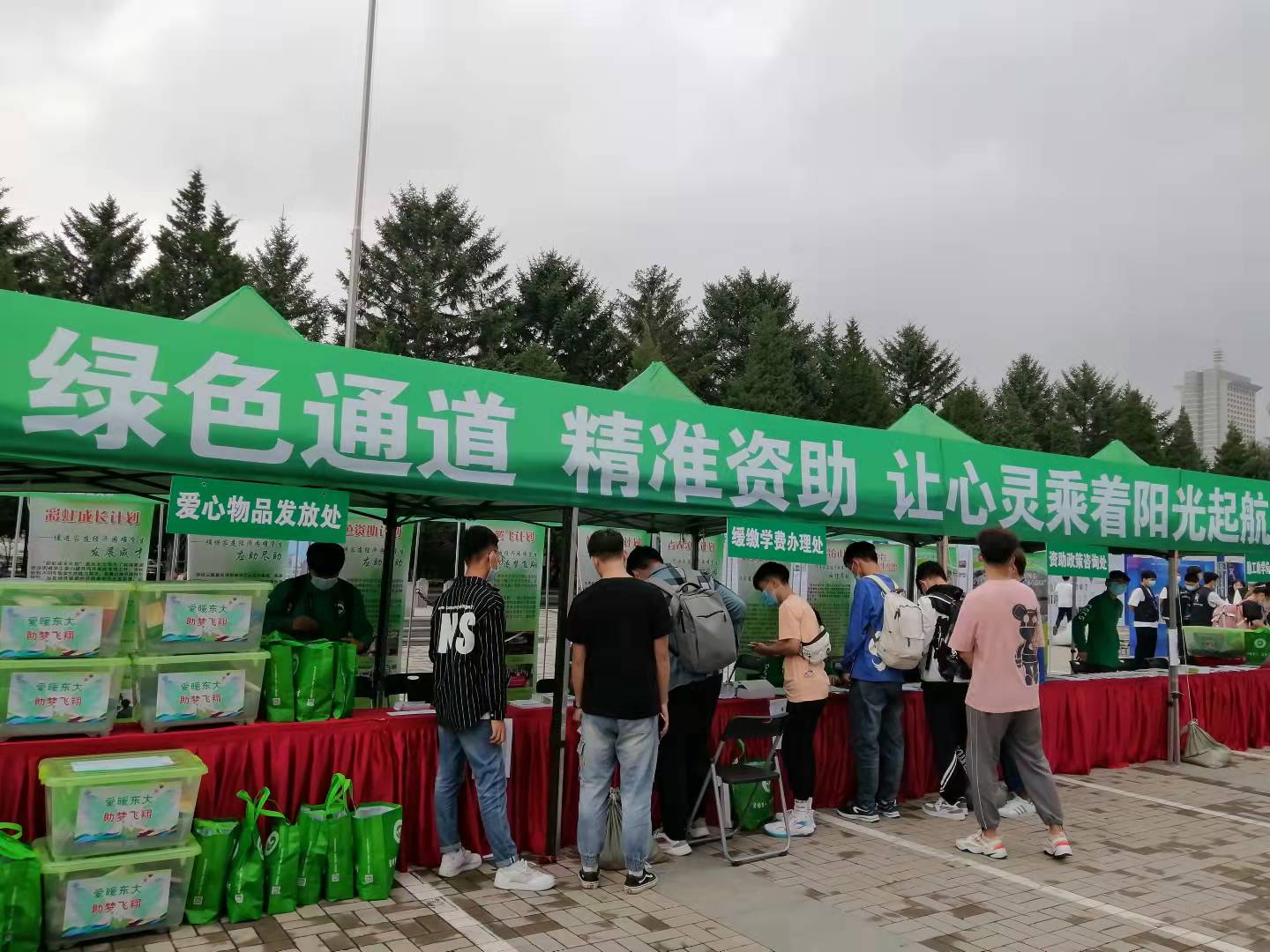 “一切准备好啦，欢迎来到东大！”东北大学迎新，本科生有5对双胞胎