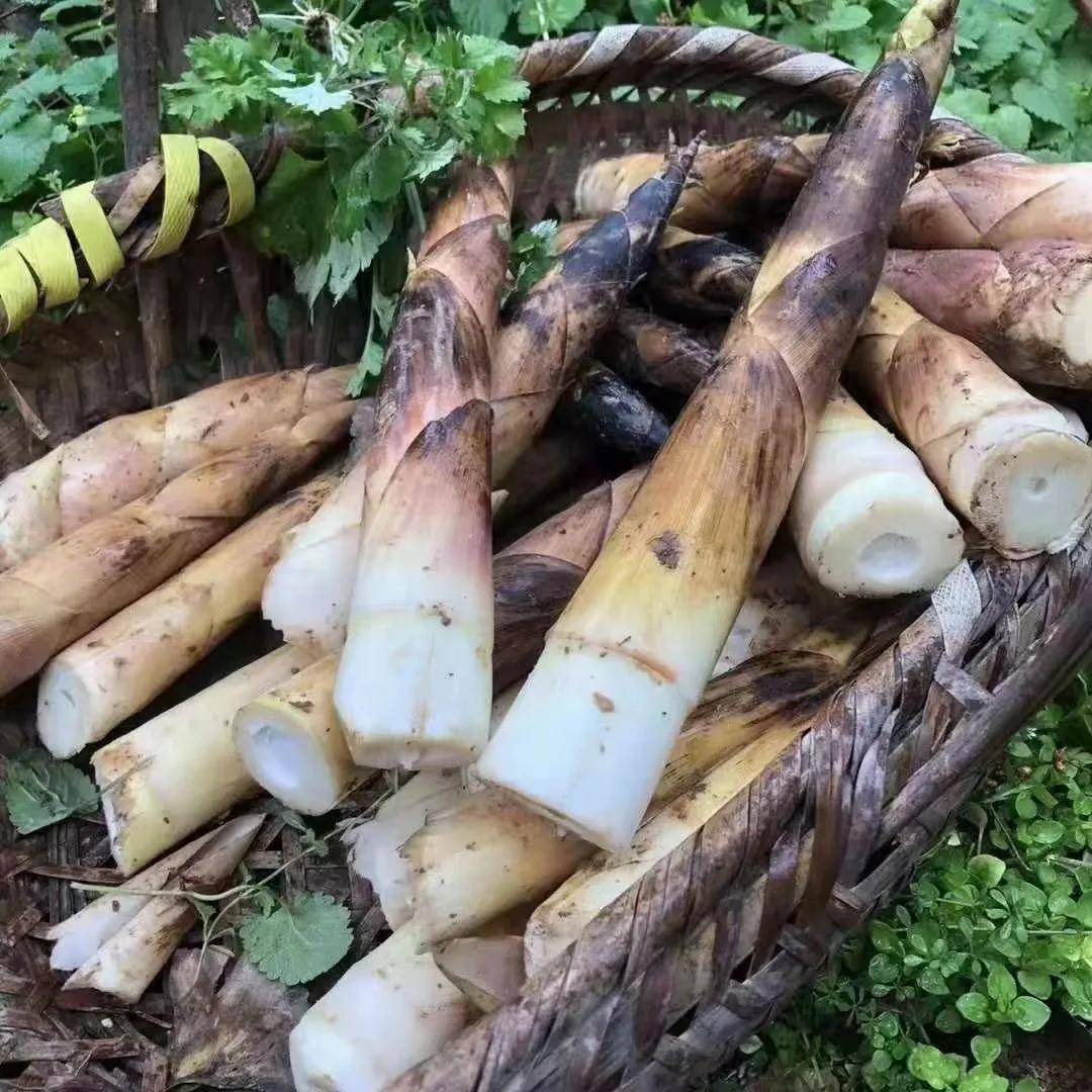 41種常吃的野菜,人間至味～你認識哪個野菜呢?