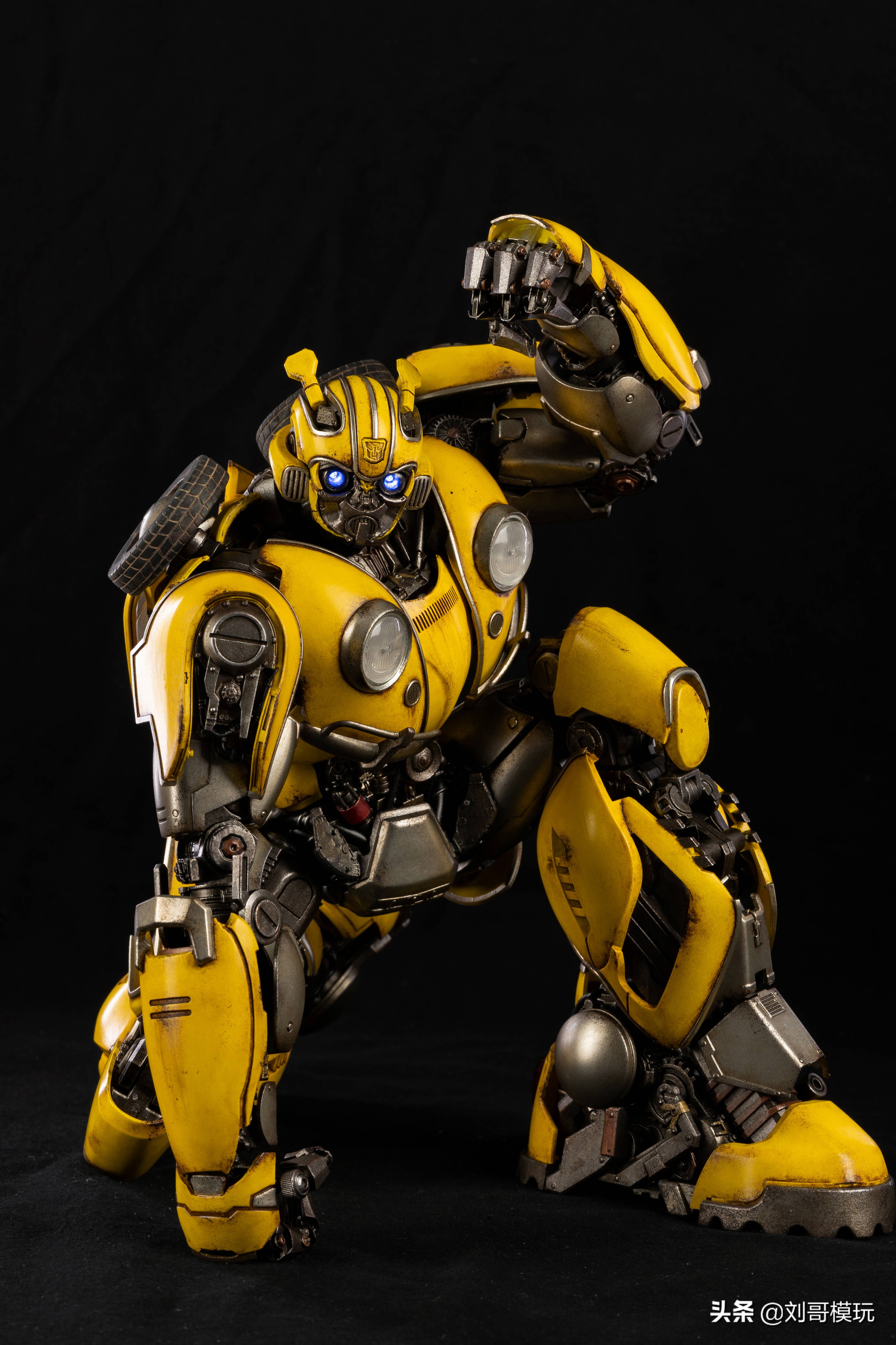 大黄蜂多少钱 大黄蜂多钱-起航号