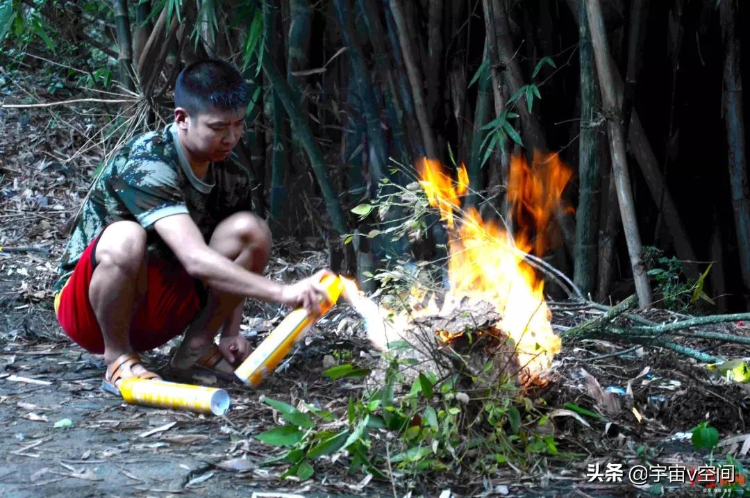 如果在野外突然碰到了马蜂窝，该怎么办？