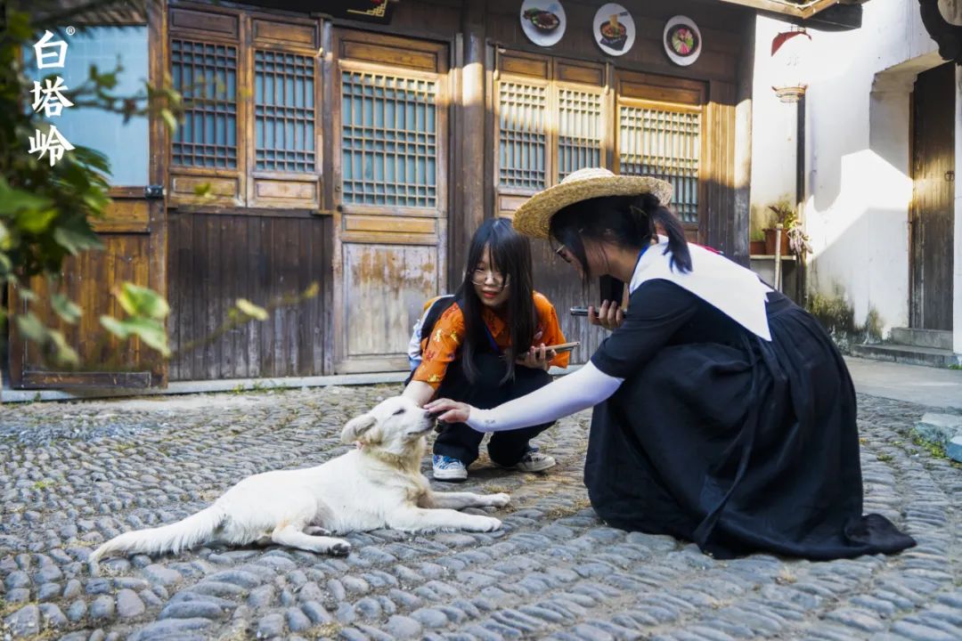 在南昌白塔岭美术集训是一种什么体验？集训的同学，请坚持下去