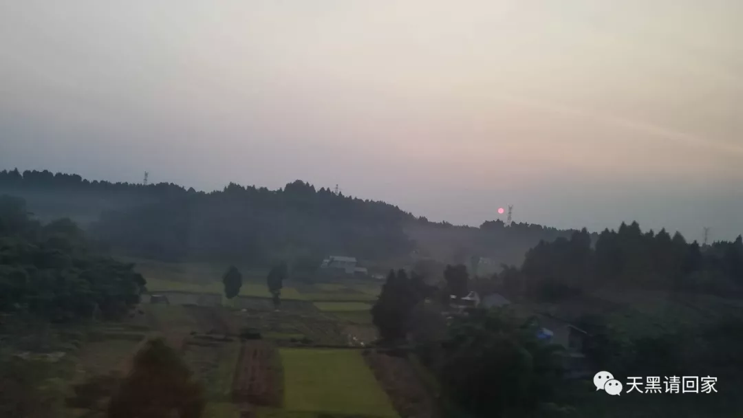 成都，温暖的城，舌尖的火锅，眼眸的翠绿
