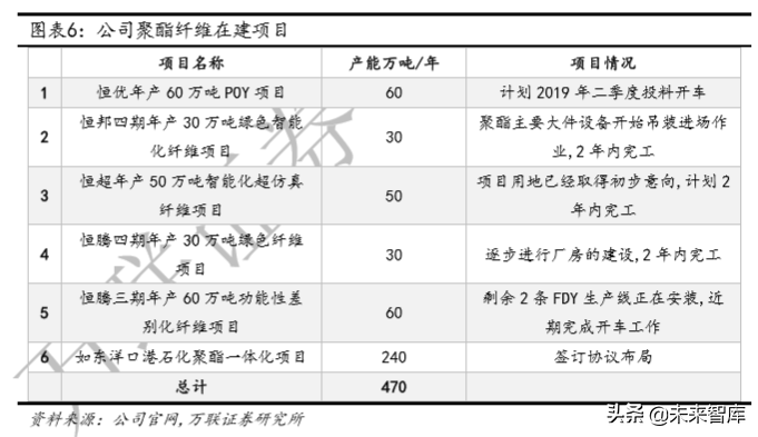 化纤行业专题报告：龙头对比分析，业务布局及成长