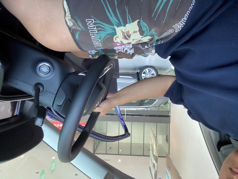 斯柯达完犊子了——上汽大众斯柯达明锐PRO