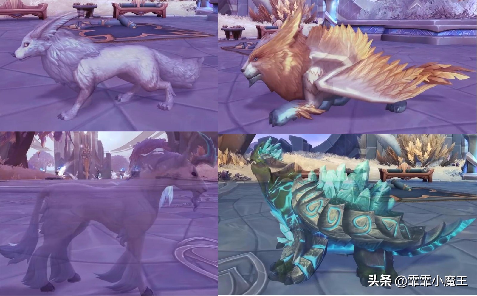 魔兽世界，9.0猎人宠物收集指南，9款最值得收藏的高颜值宠物