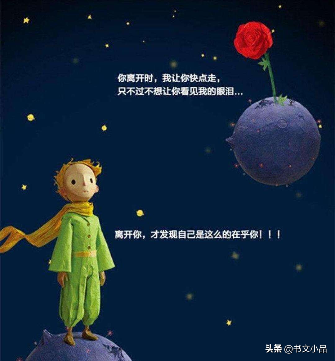 豆瓣9.0《小王子》：与玫瑰的爱情隐喻，是爱与责任的忏悔