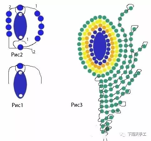 有关孔雀羽毛的花样图解