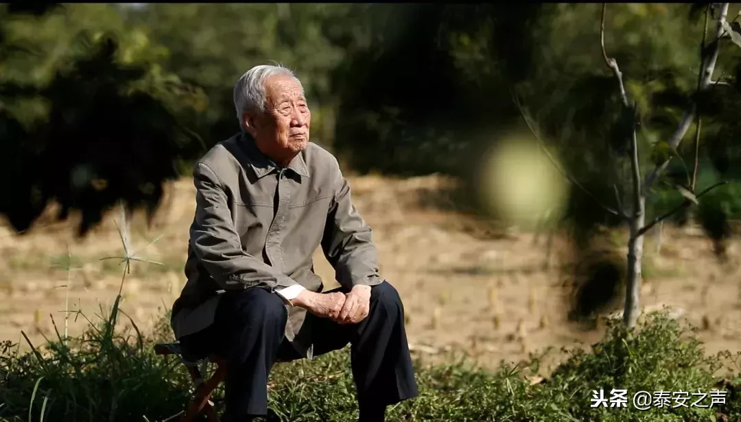 致敬！山东农业大学束怀瑞院士走进央视《大家》