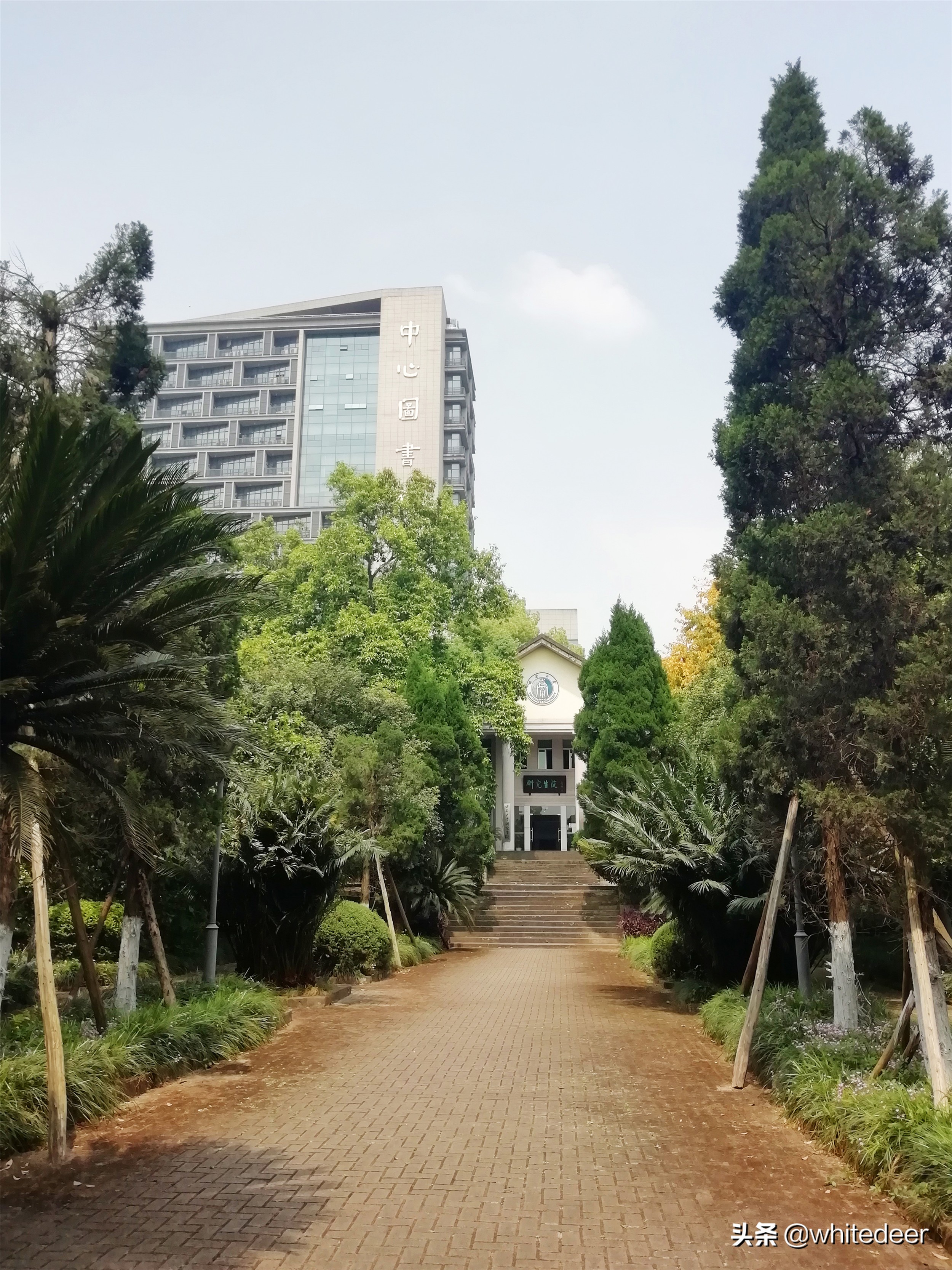 很早就听说重庆 西南师范大学 的校园很美,到位于重庆北碚的校区,的确