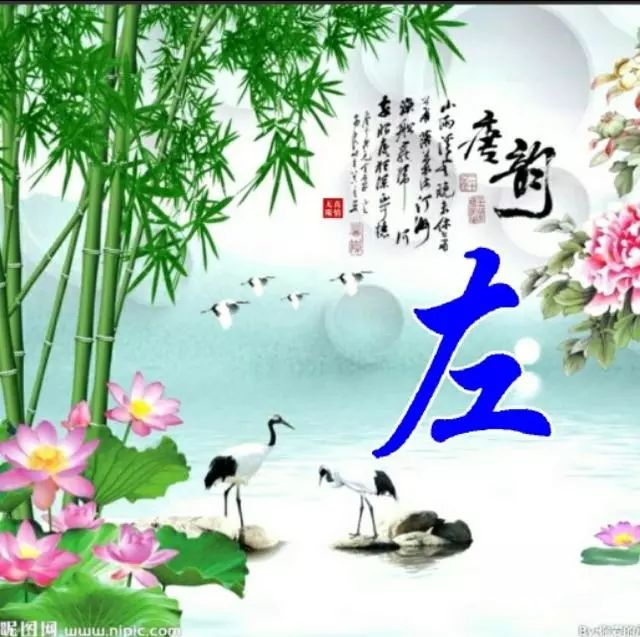 以竹报平安，家和富贵为题的姓氏微信头像（100张），太漂亮了