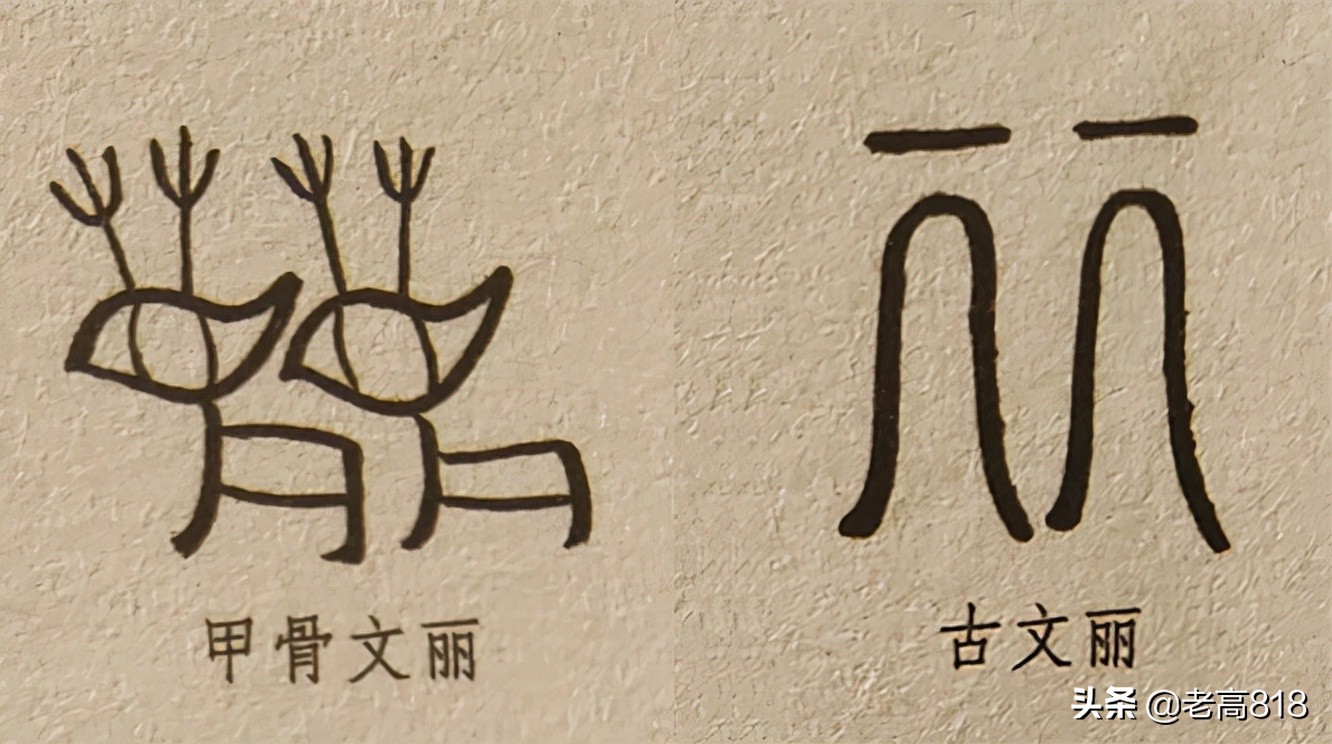 短和长,两个手指,古代二字读法li(四声),声音优美,三千年前商代甲骨文