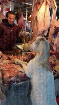 轻松一刻：关于泻火，我有话说