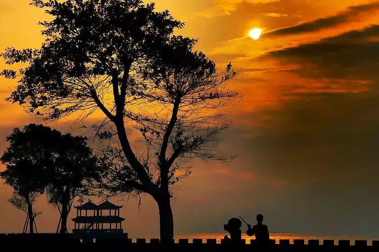 真正的朋友，始于志趣，合于性情，忠于人品