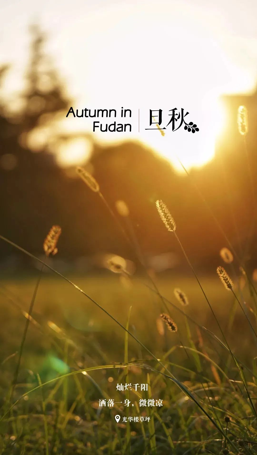 你的理想大学，终于被做成了手机壁纸