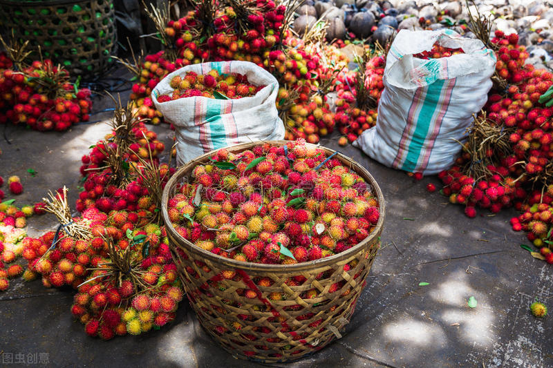 红毛丹价格比荔枝贵，市场售价超30元/斤，为何国内不大规模种植