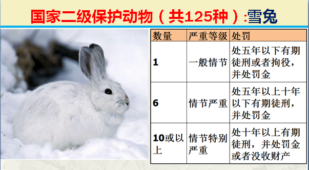 二级保护动物（国家最新125类二级野生保护名录）