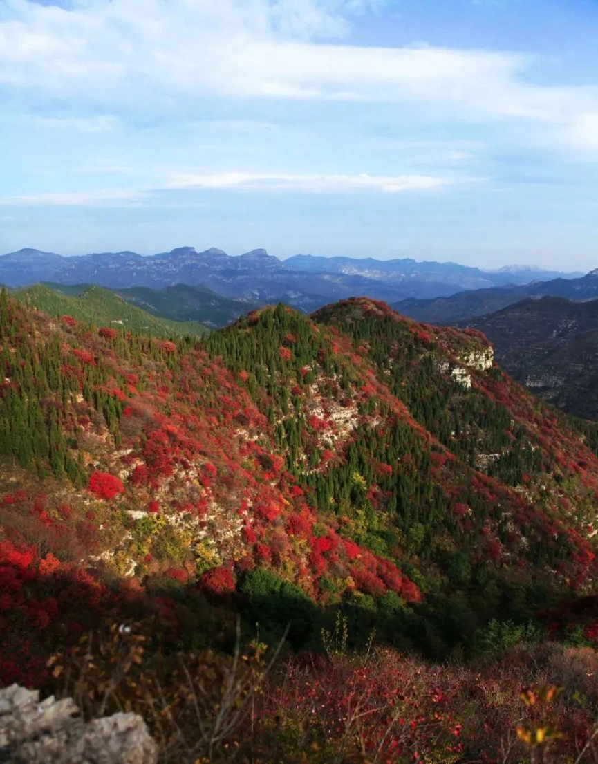 山东最不能错过的自驾线路！山水美景遍布，承包你的小长假！