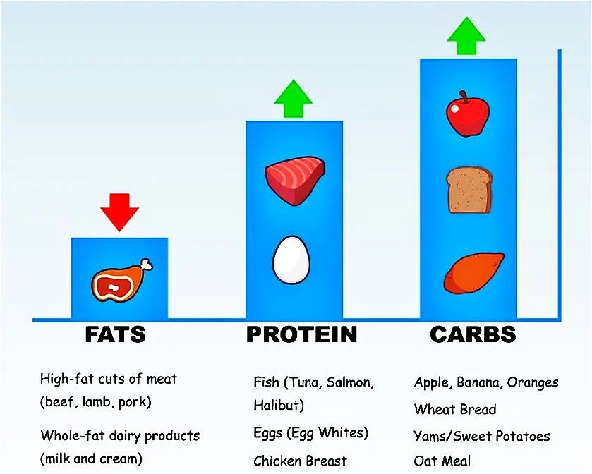 如何成为职业拳击运动员（EFA How 丨如何成为专业的拳击手）