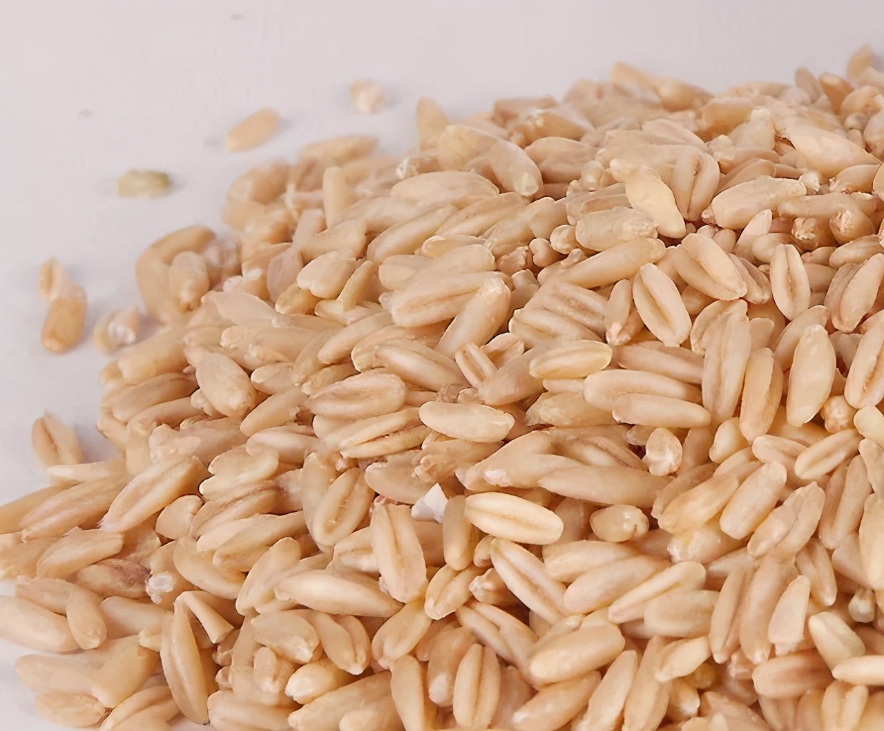 莜麦的三生三熟是指啥?莜面窝窝怎么做?