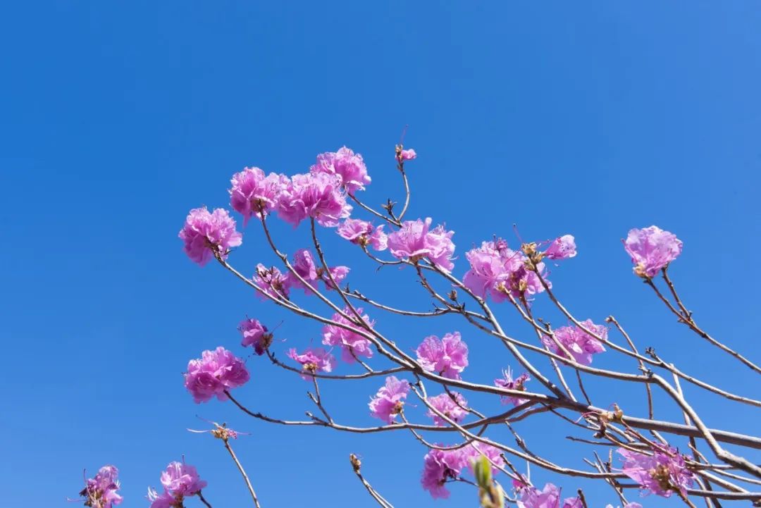 䣬ɣ8ʹʫʣ