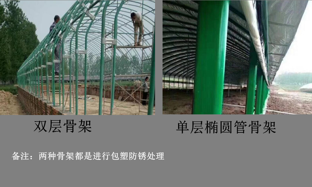 养猪大棚如何建？满足养殖的需求又能省钱，看我设计的是否有道路