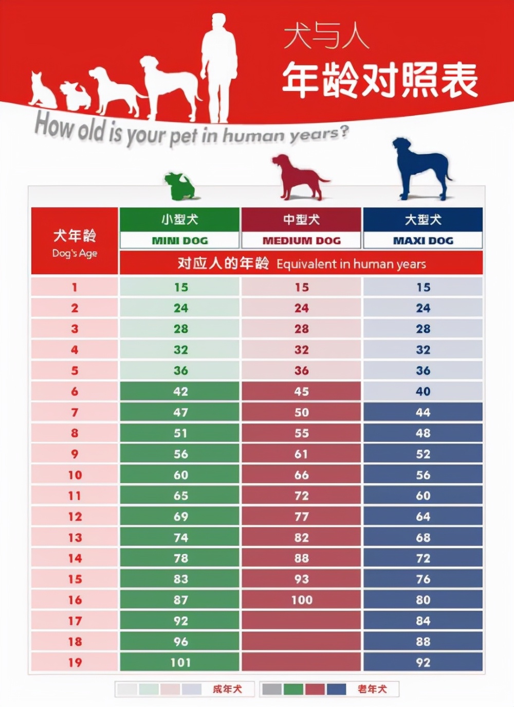 属狗的今年多大() -新时代资讯