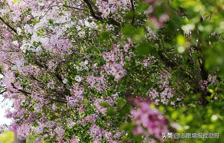 我国“被低估”的1所医科大学，实力不逊色211，就业很不错