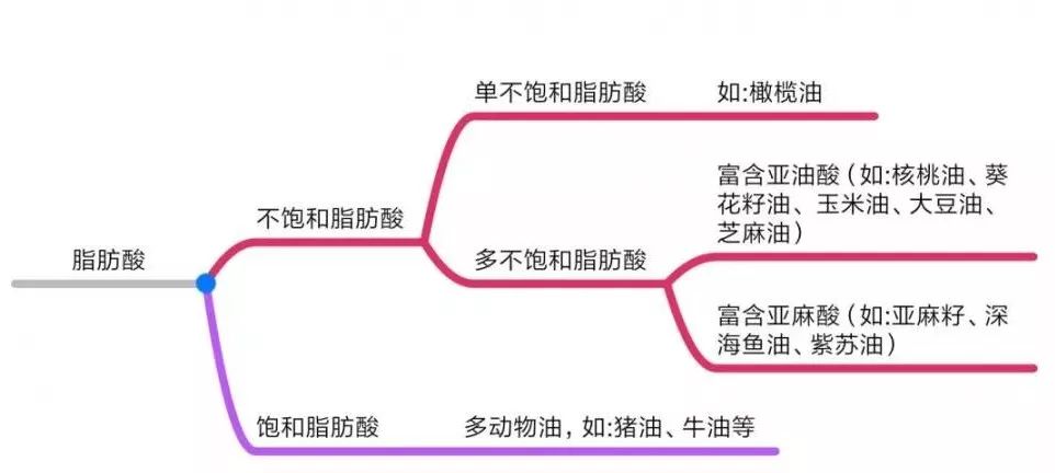 宝宝多大能吃油？适合孩子的食用油原来是这几种