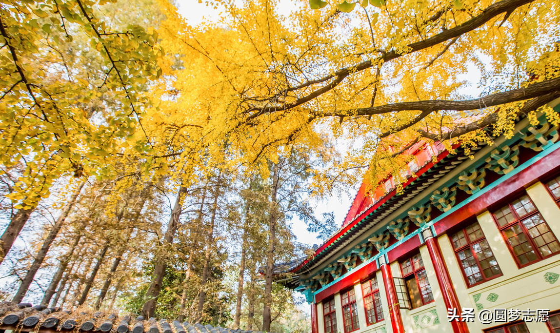 安徽省理科一万名以内可以报考的学校都在这里了，建议收藏