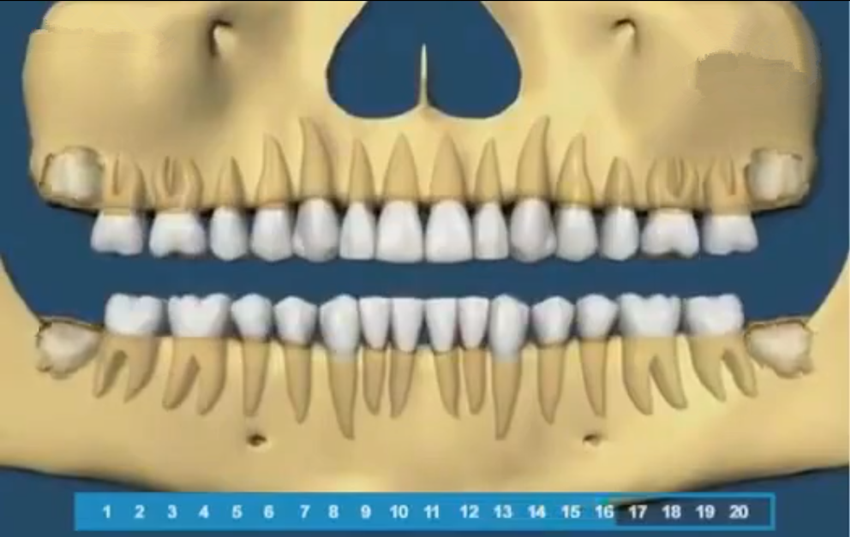 组图带你了解宝宝的牙齿生长顺序，一目了然，父母再也不用纠结了