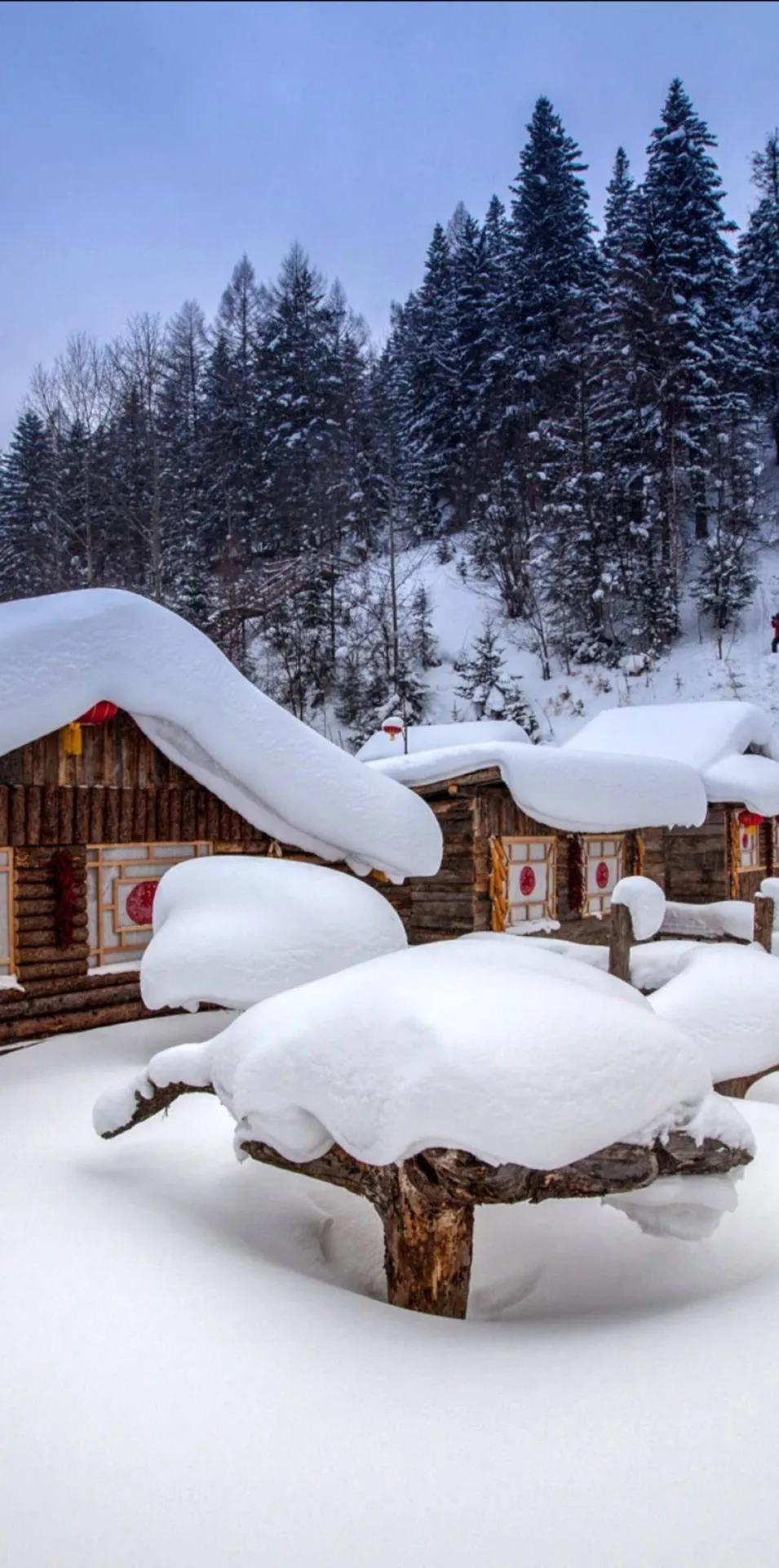 妈妈，我们总是把你藏在你的心里。