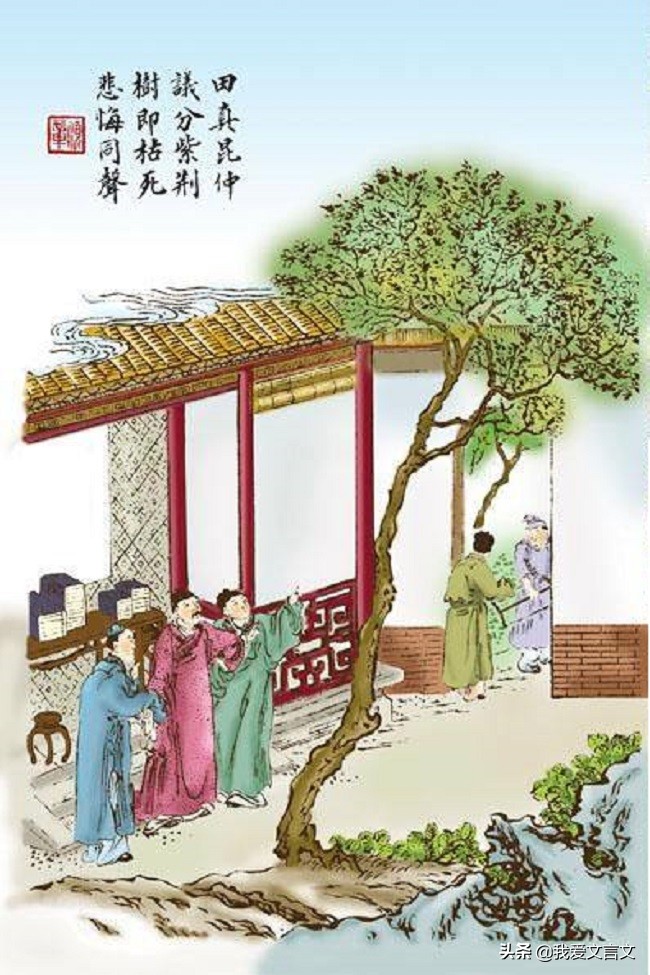 经典文言文赏析｜田真兄弟