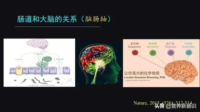 改善孩子多动、注意力缺陷，除了心理疏导，还有饮食营养四疗法