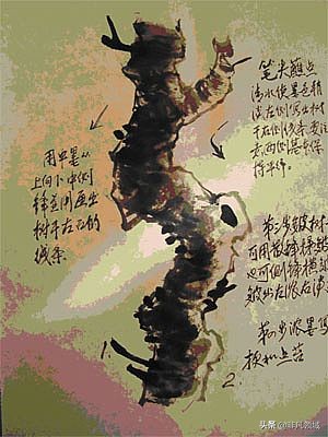 中国画写意花鸟画入门大全