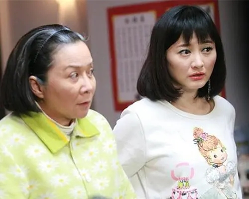 评分最高的十大情景喜剧，《爱情公寓》垫底，《家有儿女》仅第5